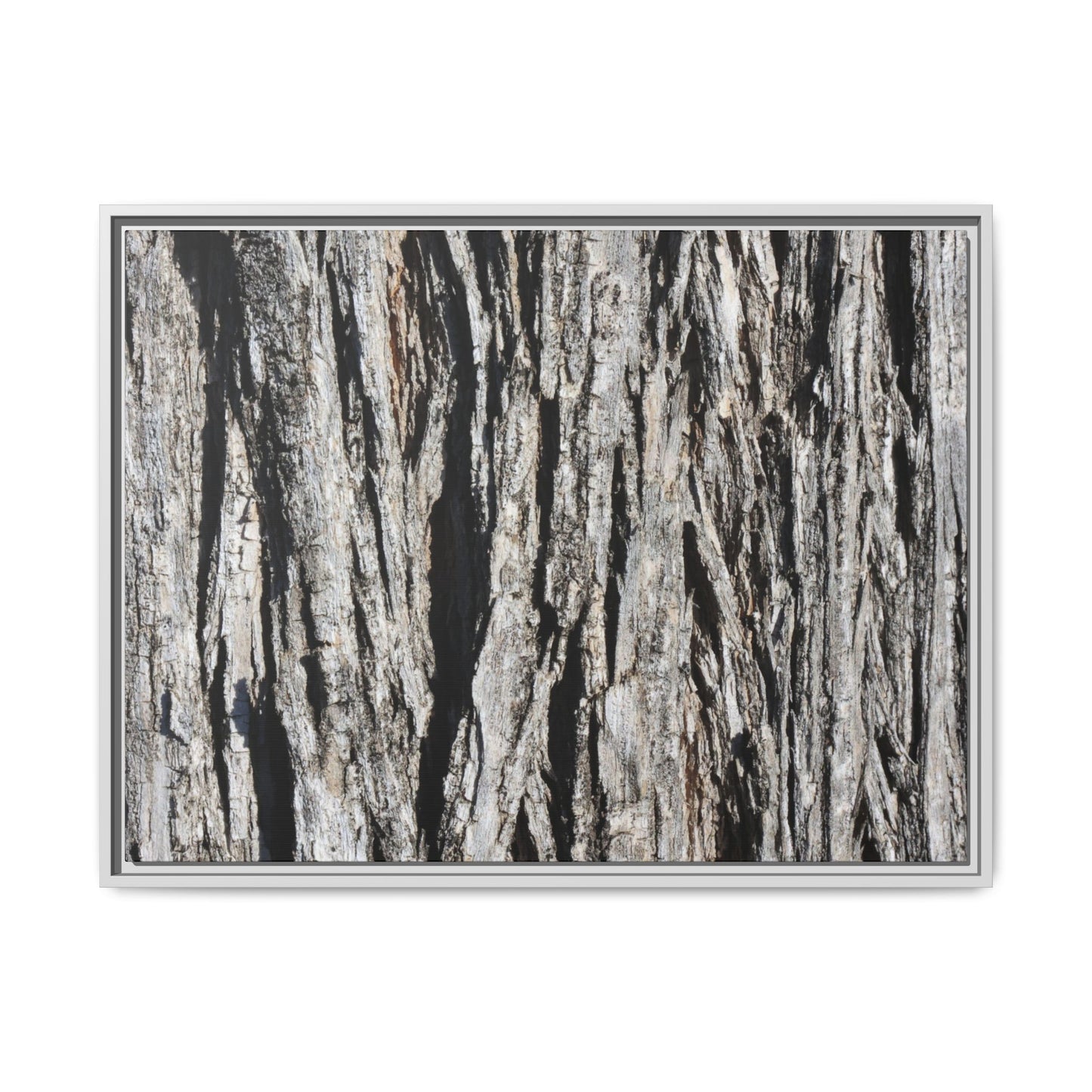 Bark Lines - Unique Stretched Canvas Wall Art