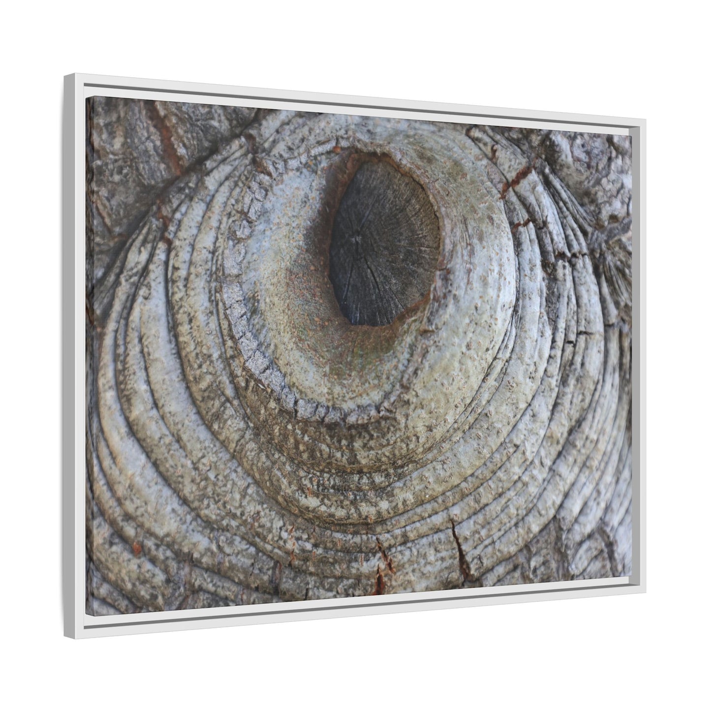 Echoes of Time - Unique Stretched Canvas Wall Art