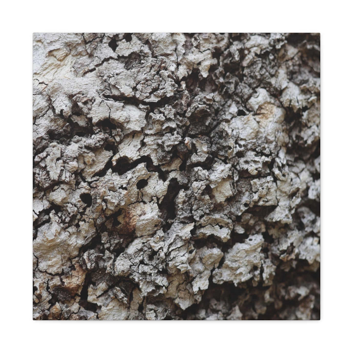 Cracked Earth Tapestry - Unique Frameless Canvas Wall Art