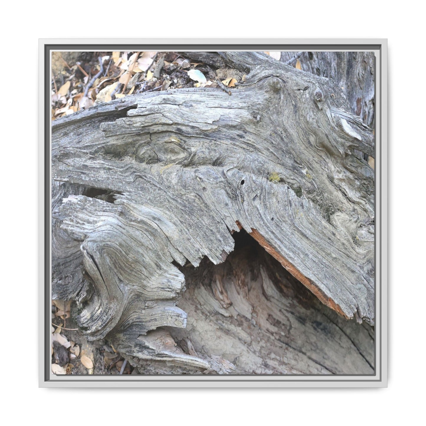 Driftwood Dreams - Unique Stretched Canvas Wall Art