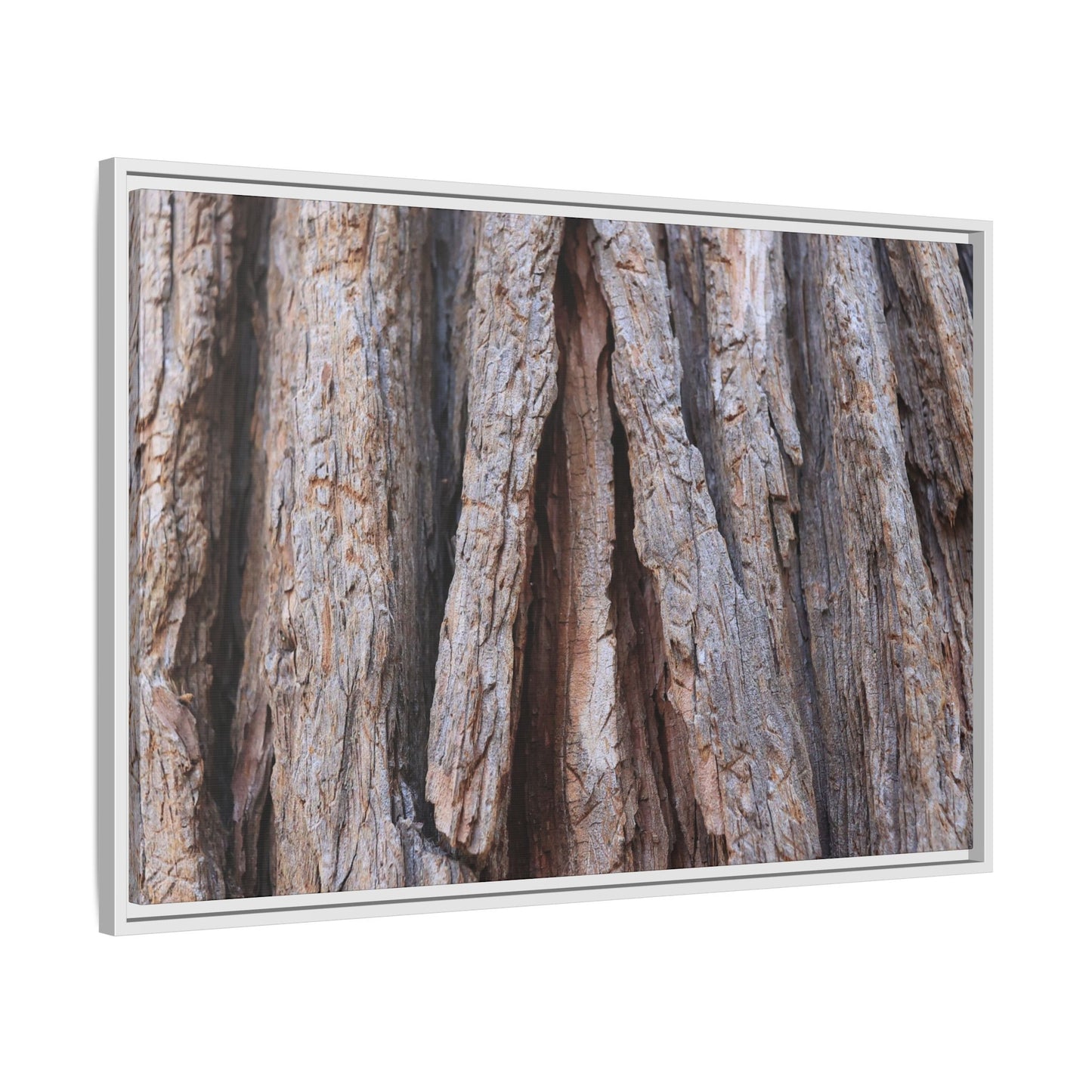 Nature's Sculpture - Unique Stretched Canvas Wall Art