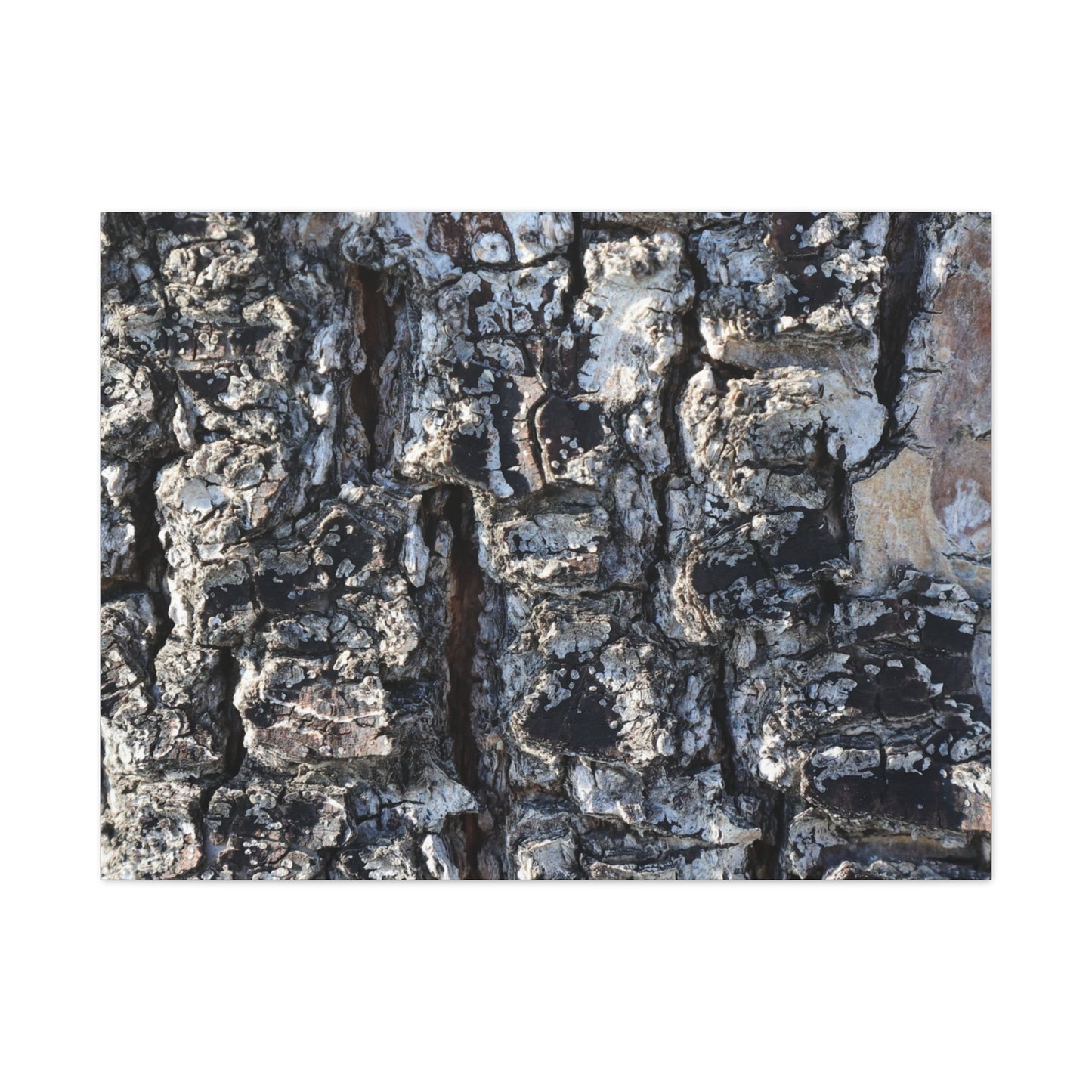 Textured Whispers of the Ancient Tree - Unique Frameless Canvas Wall Art