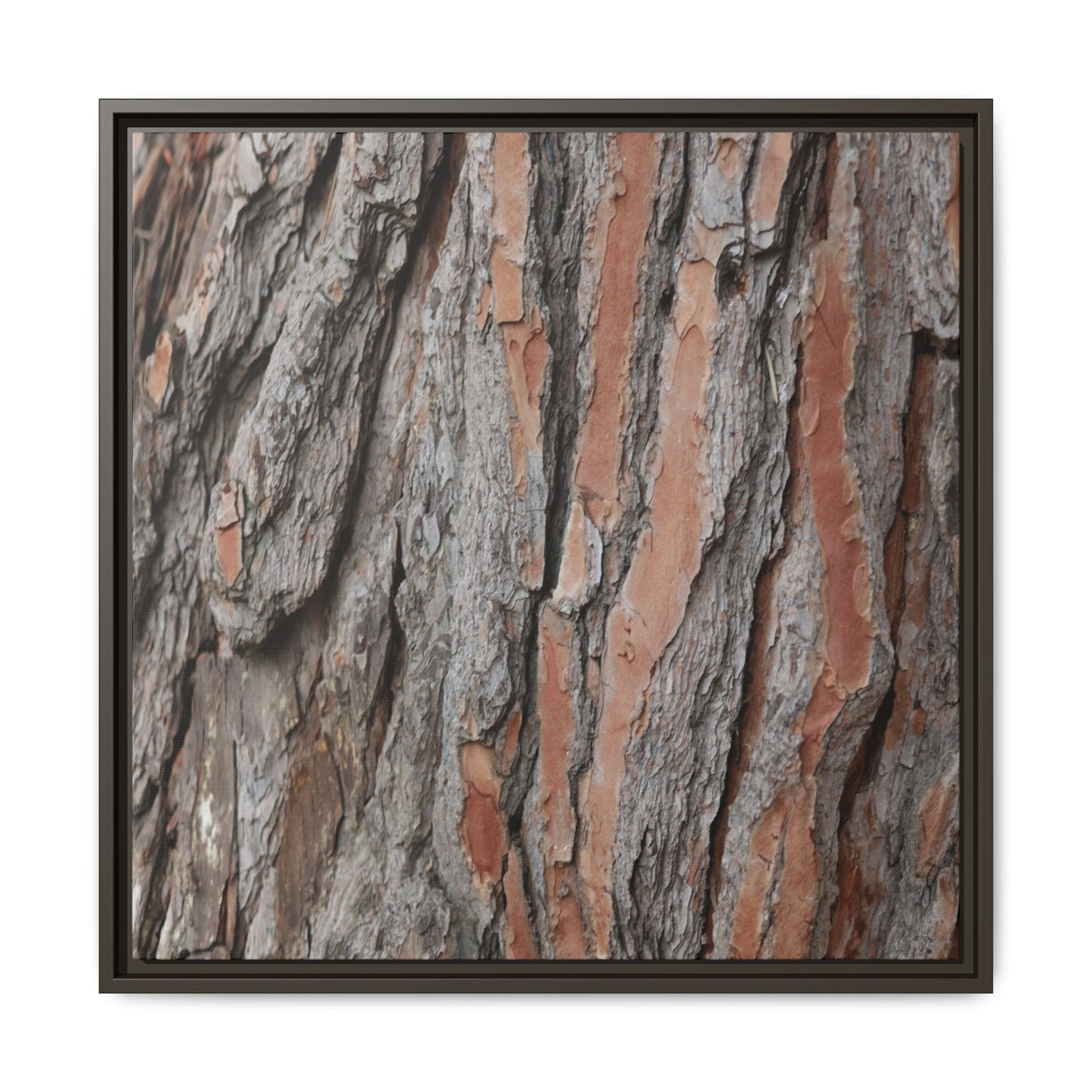 Woodland Layers - Unique Stretched Canvas Wall Art