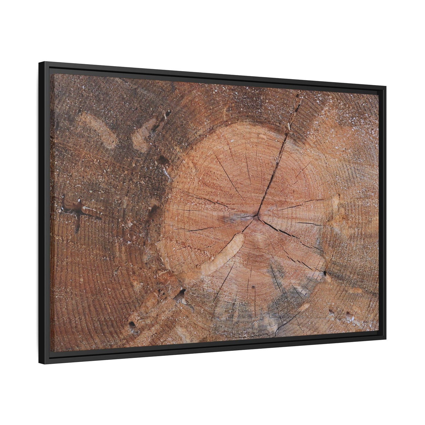 Concentric Memories - Unique Stretched Canvas Wall Art