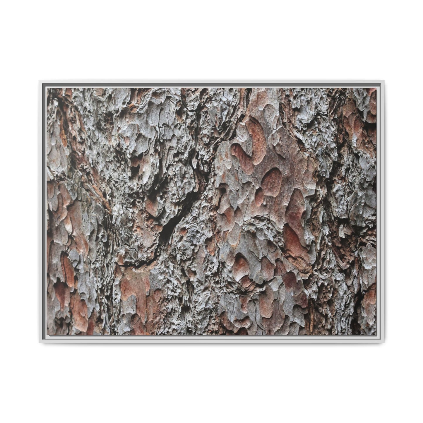 Bark Texture Symphony - Unique Stretched Canvas Wall Art
