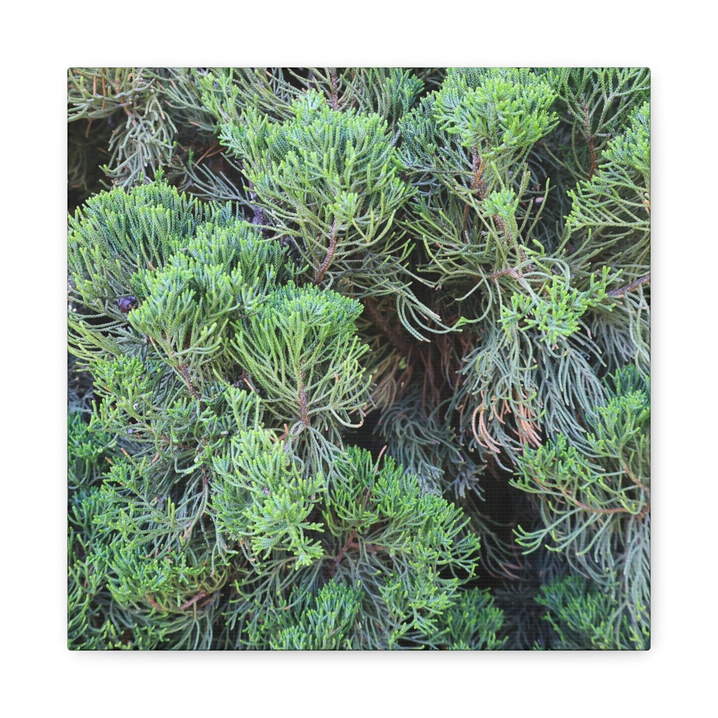 Green Labyrinth - Unique Frameless Canvas Wall Art