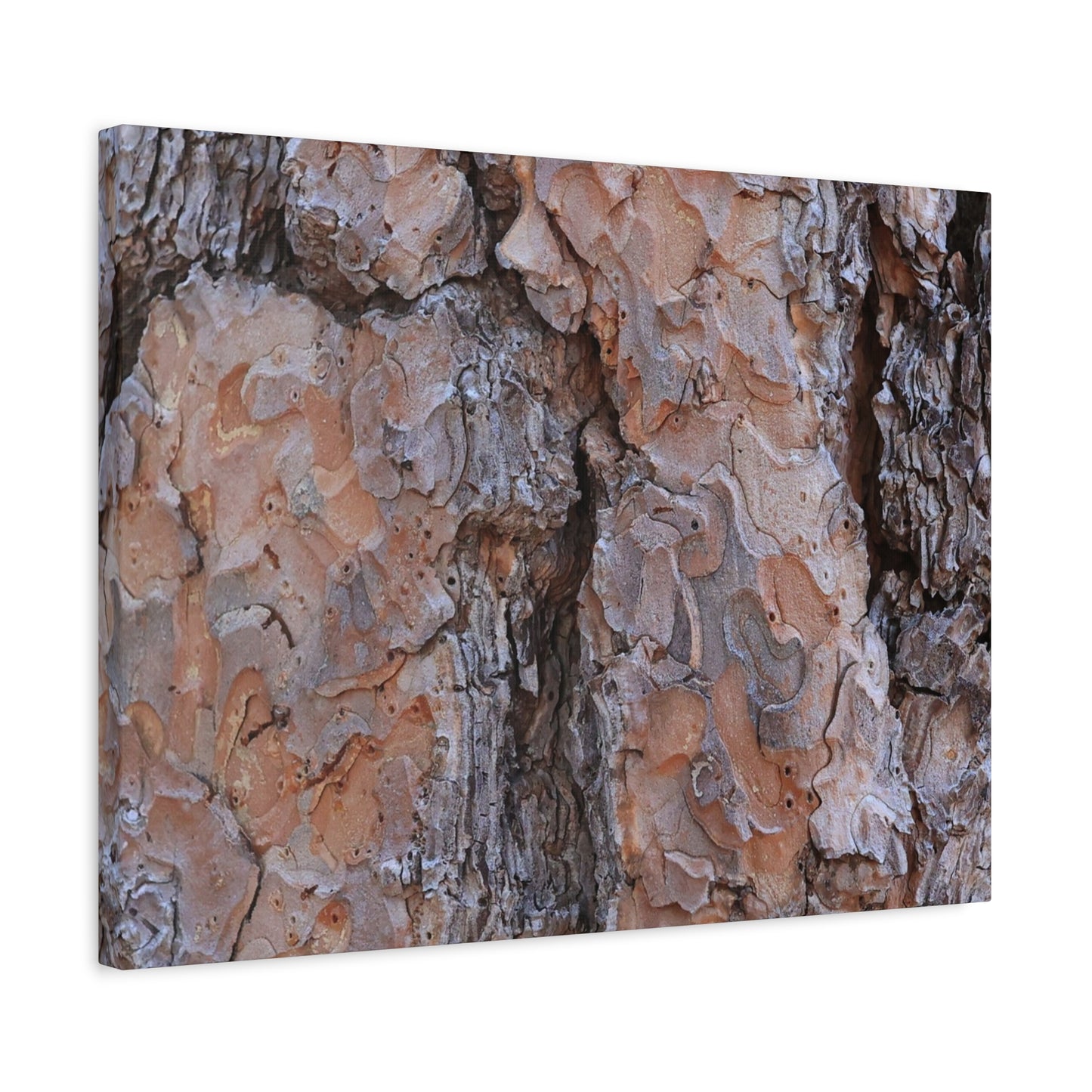 Arboreal Armor - Unique Frameless Canvas Wall Art