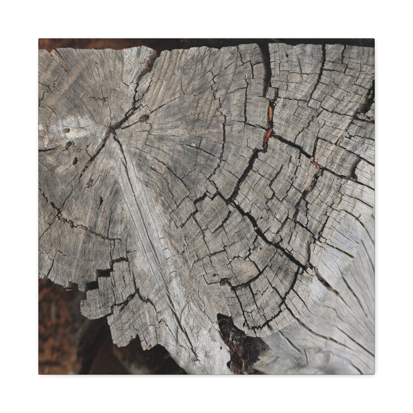 Cracked Memories - Unique Frameless Canvas Wall Art