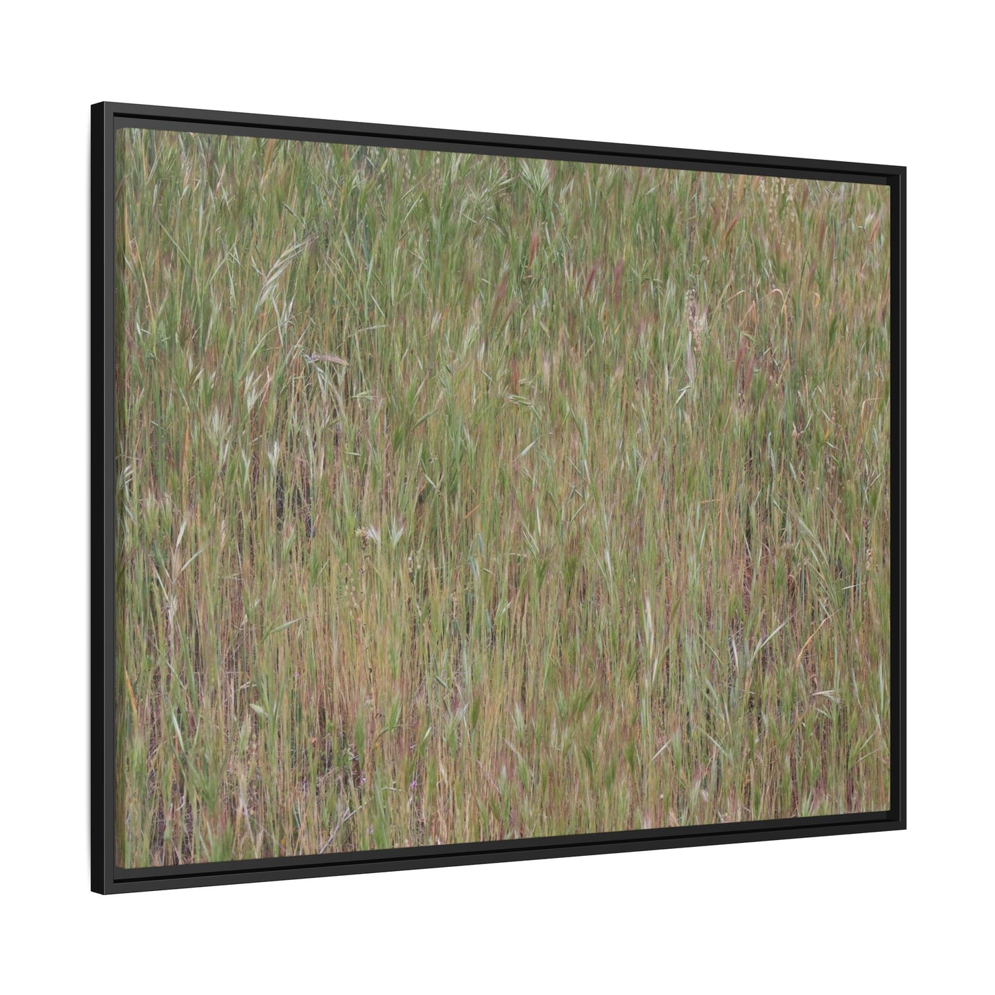 Field of Dreams - Unique Stretched Canvas Wall Art