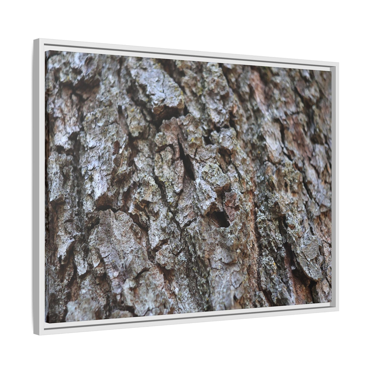 Woodland Canvas - Unique Stretched Canvas Wall Art