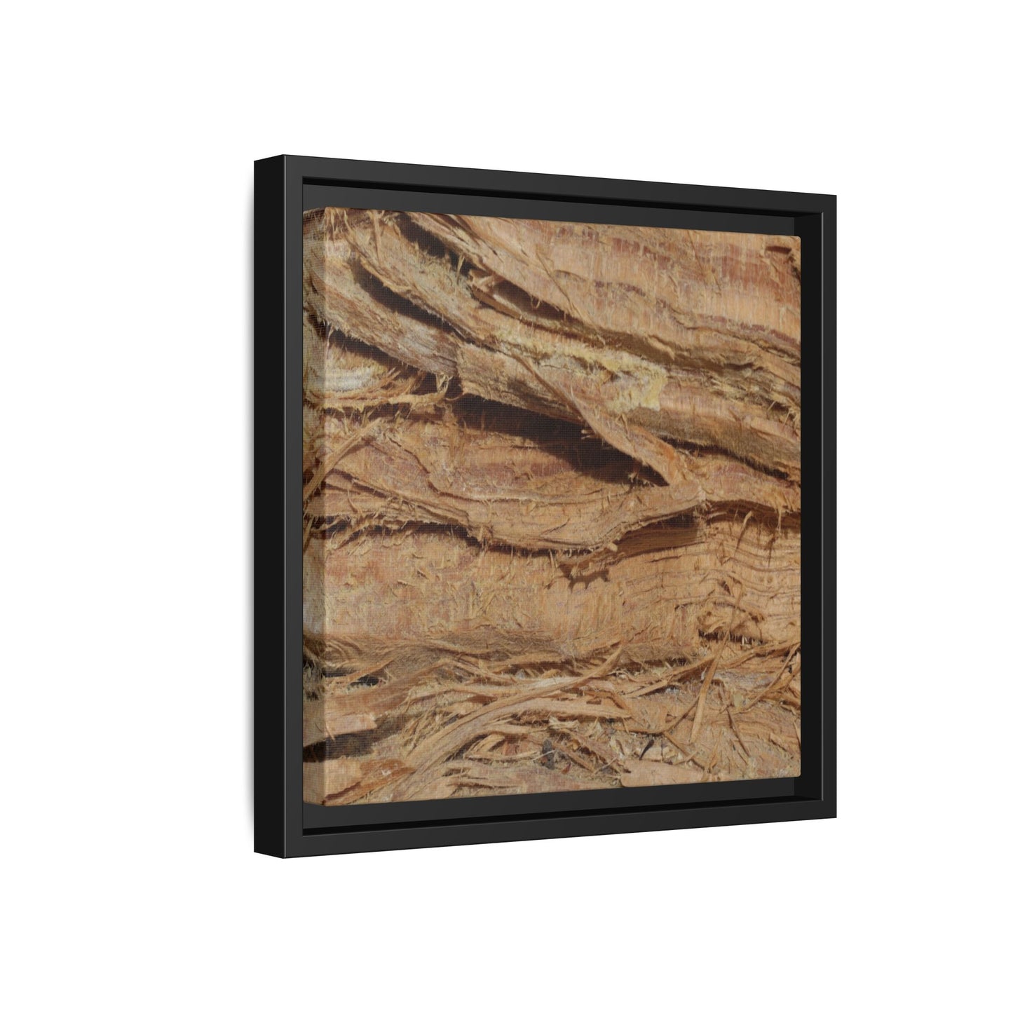 Splintered Bark - Unique Stretched Canvas Wall Art