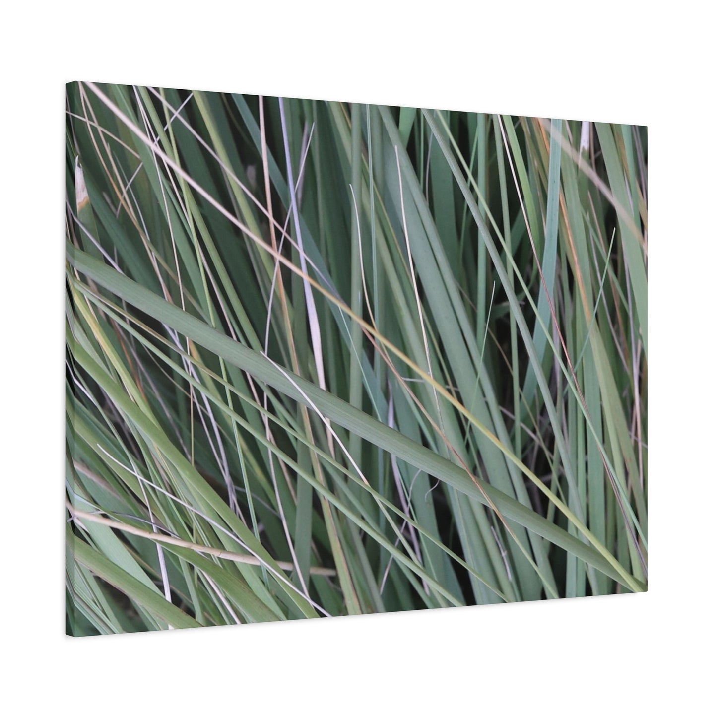 Whispers of Green - Unique Frameless Canvas Wall Art