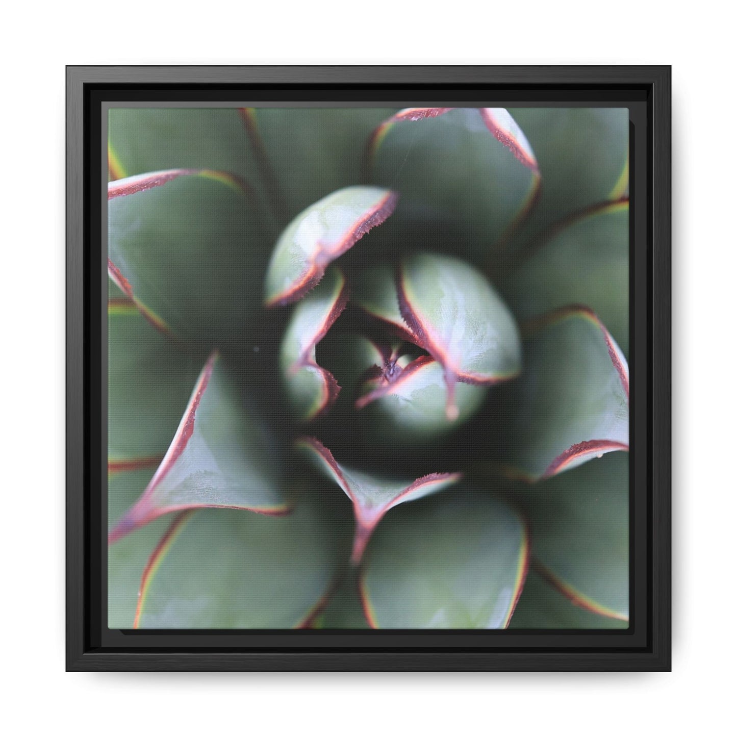 Spiky Elegance - Unique Stretched Canvas Wall Art