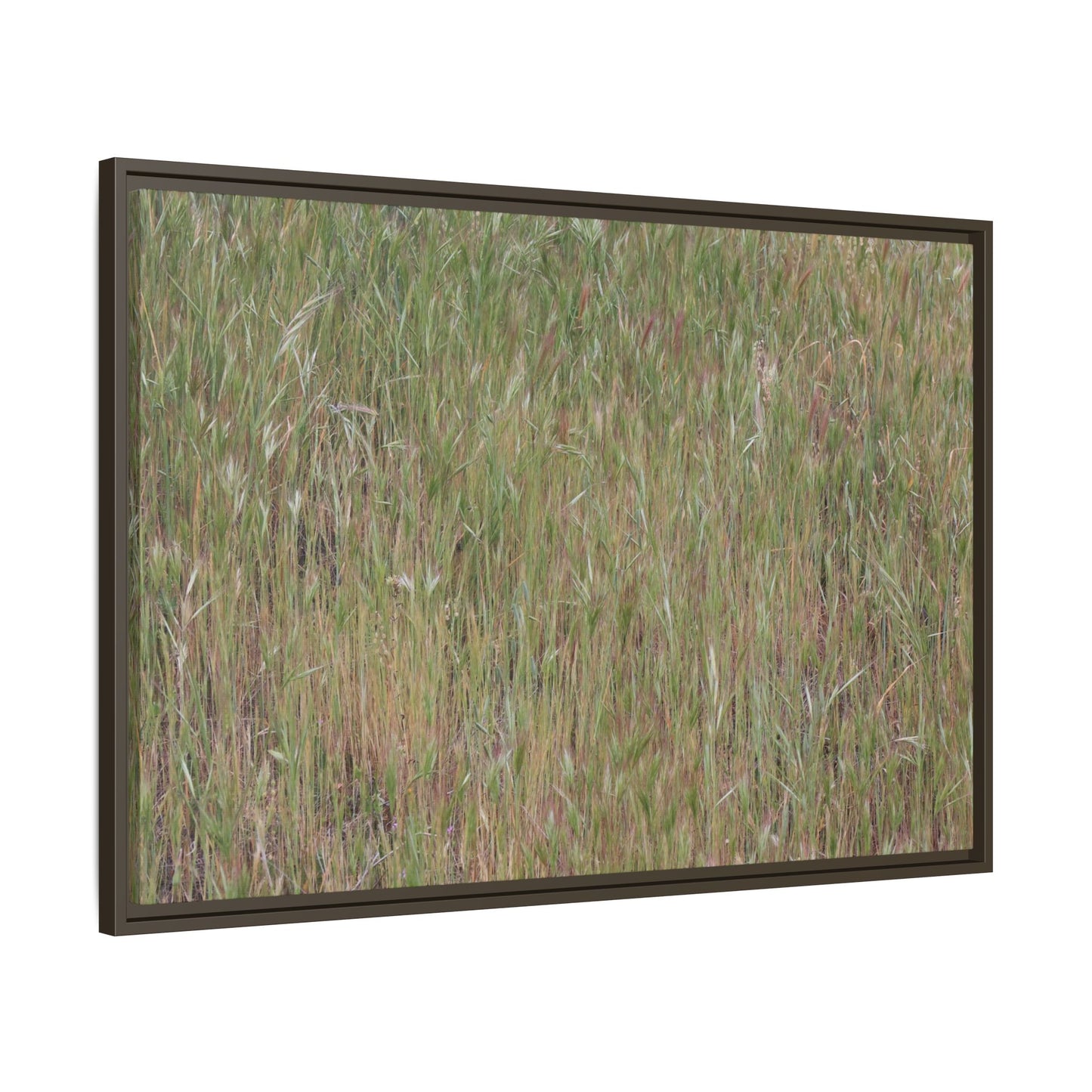 Field of Dreams - Unique Stretched Canvas Wall Art
