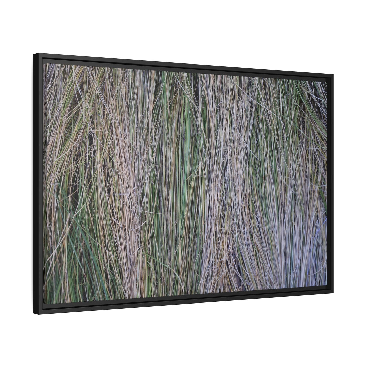 Whispers of Silver Grass - Unique Stretched Canvas Wall Art