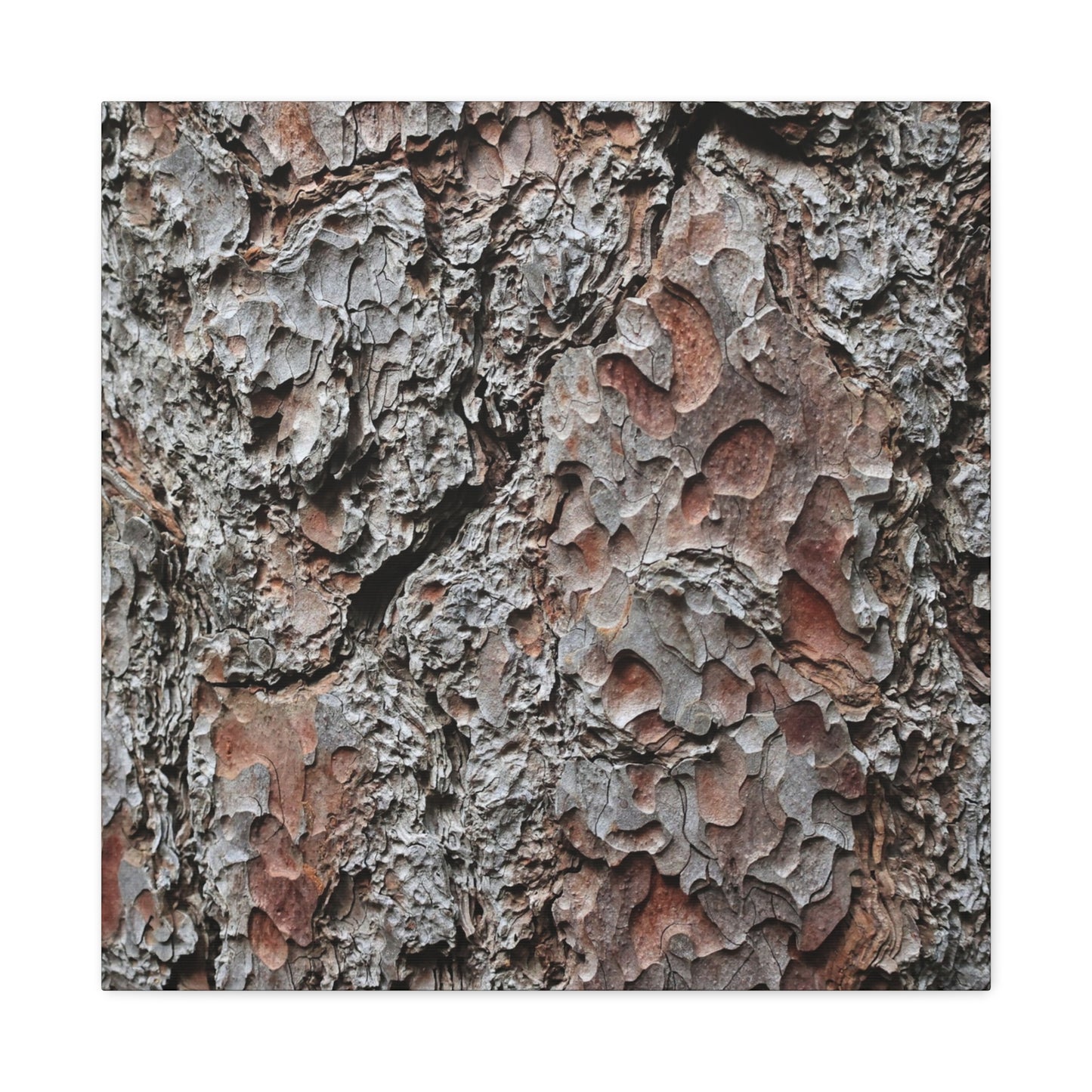 Textured Whispers of Bark - Unique Frameless Canvas Wall Art