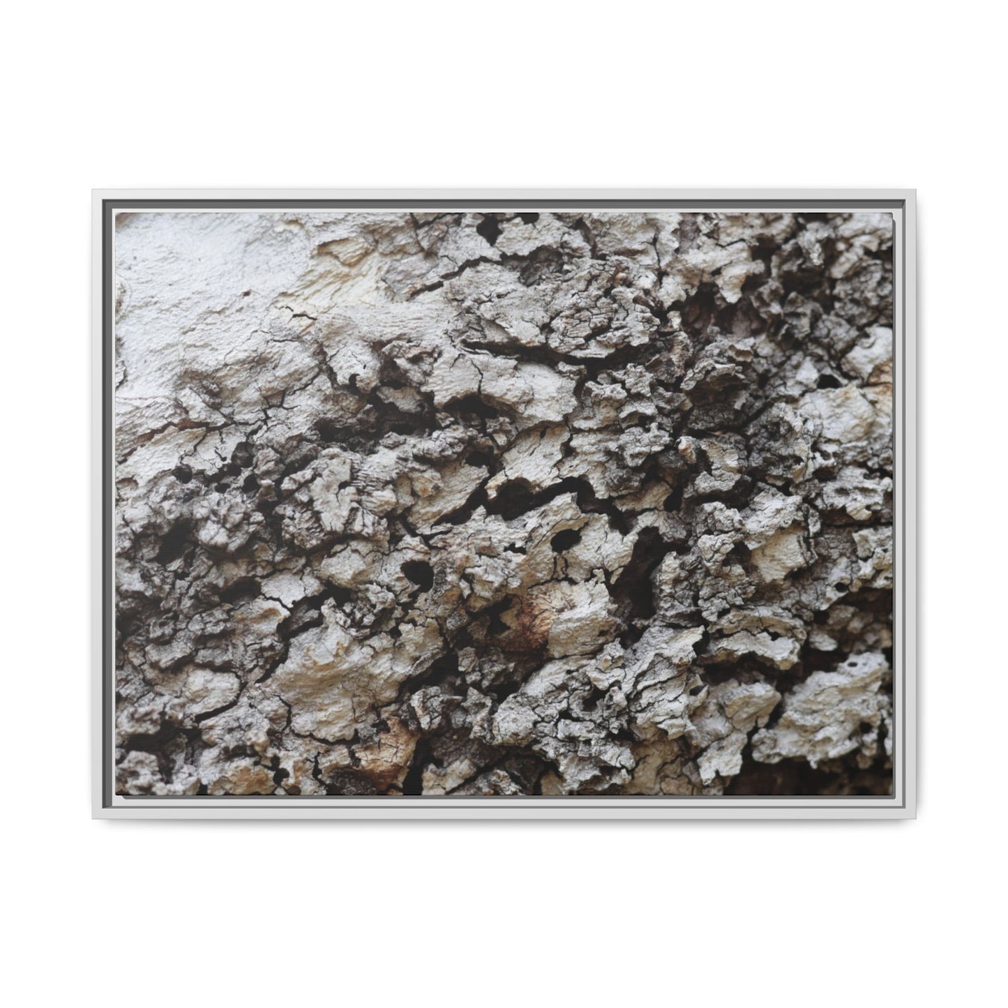Cracked Terrain - Unique Stretched Canvas Wall Art