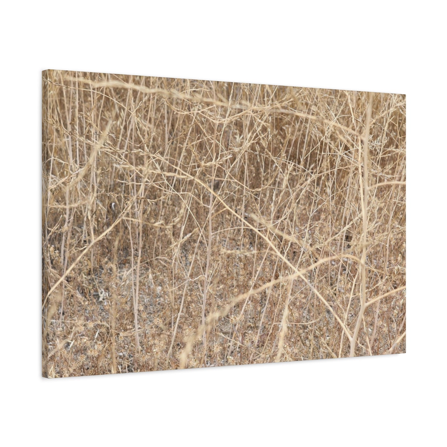 Dry Echoes - Unique Frameless Canvas Wall Art