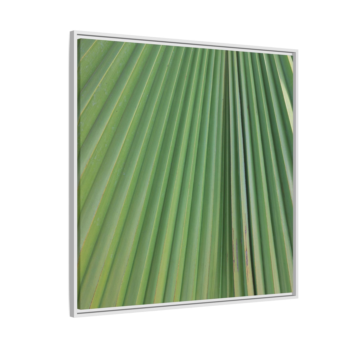 Emerald Rays - Unique Stretched Canvas Wall Art