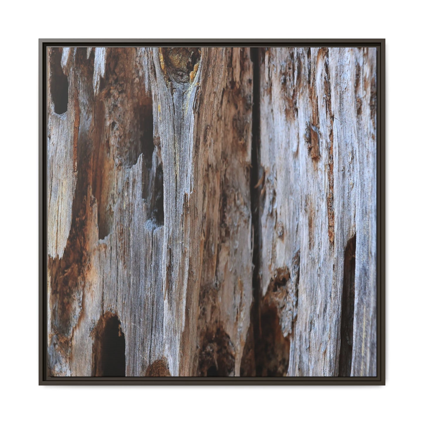 Decaying Splendor - Unique Stretched Canvas Wall Art