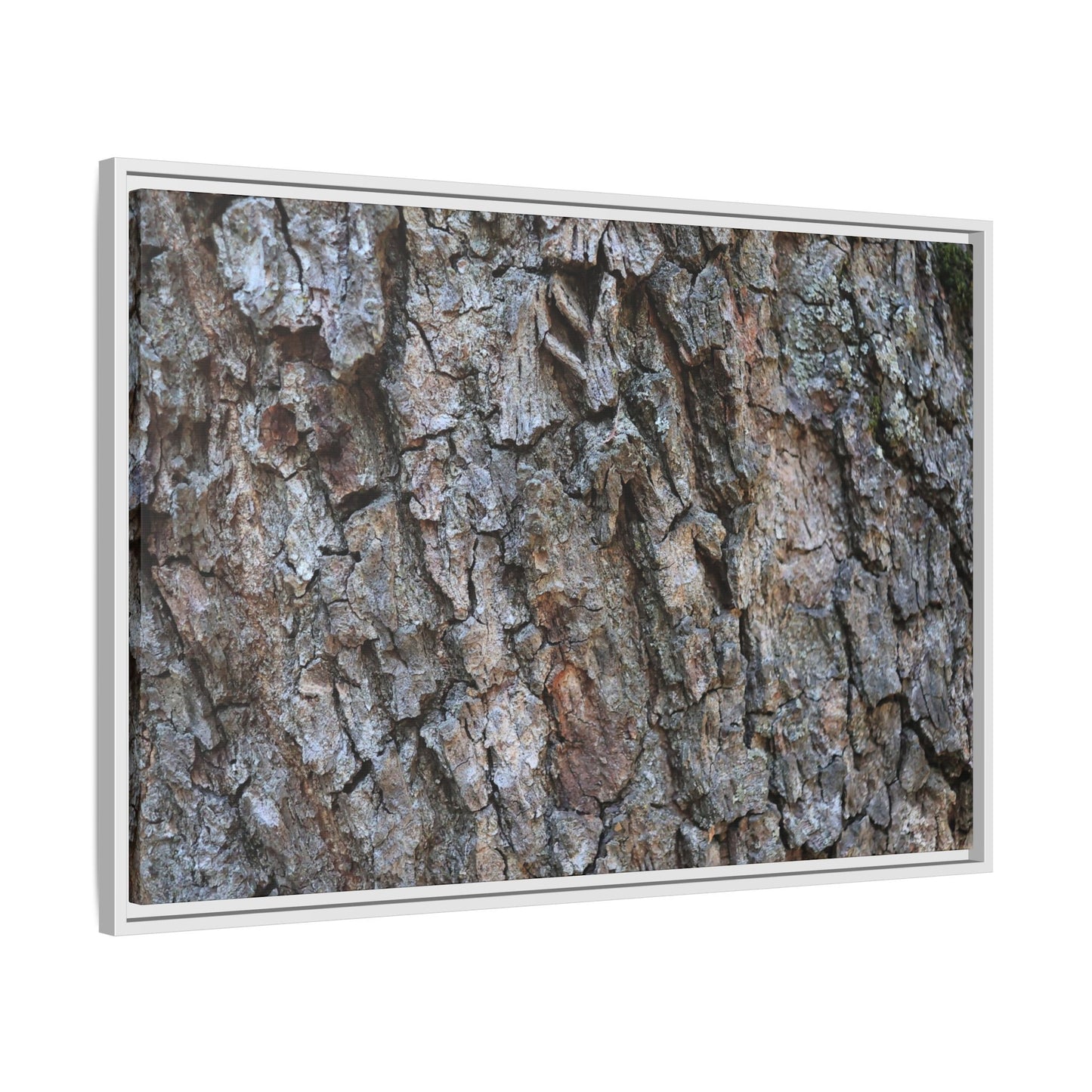 Woodland Skin - Unique Stretched Canvas Wall Art