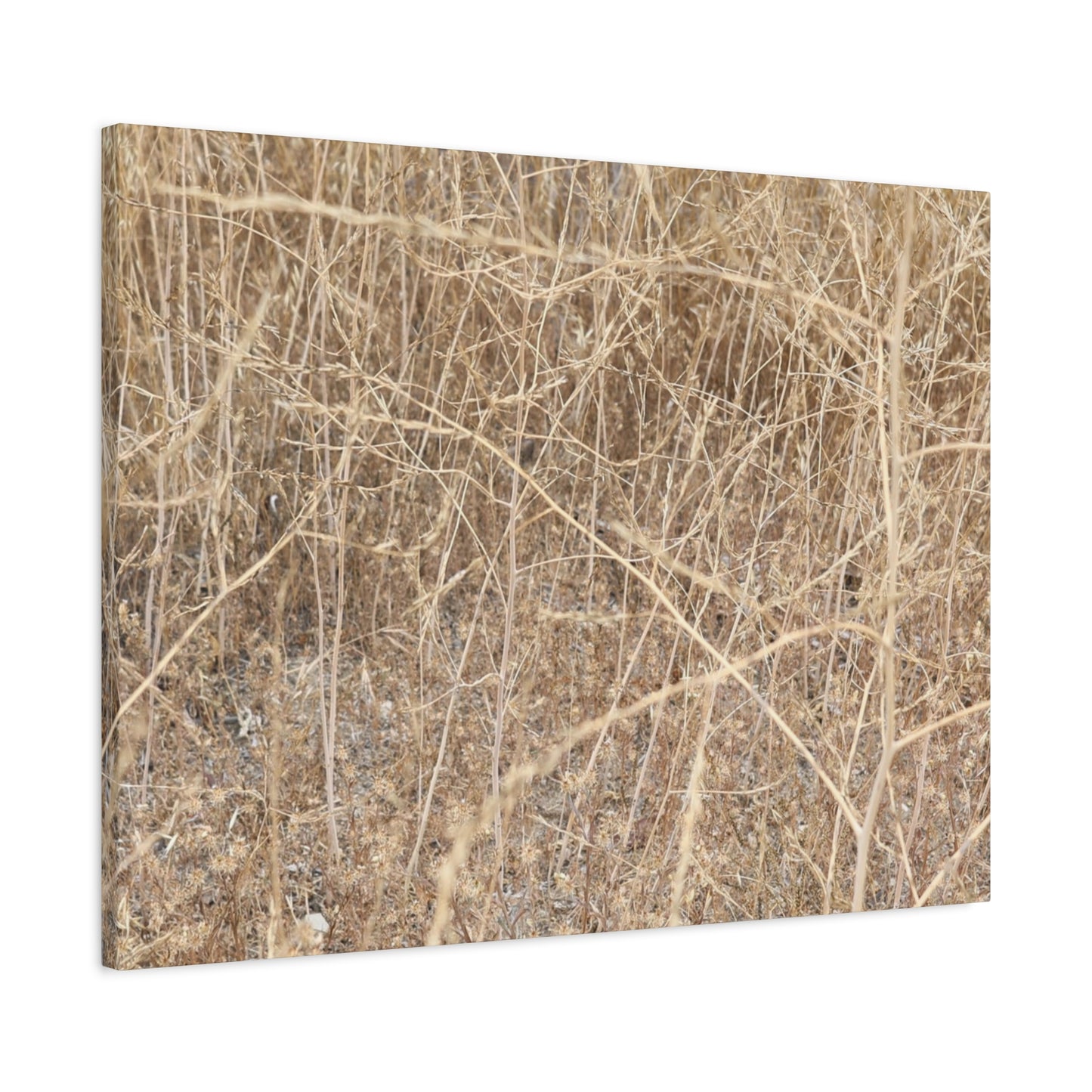 Dry Echoes - Unique Frameless Canvas Wall Art