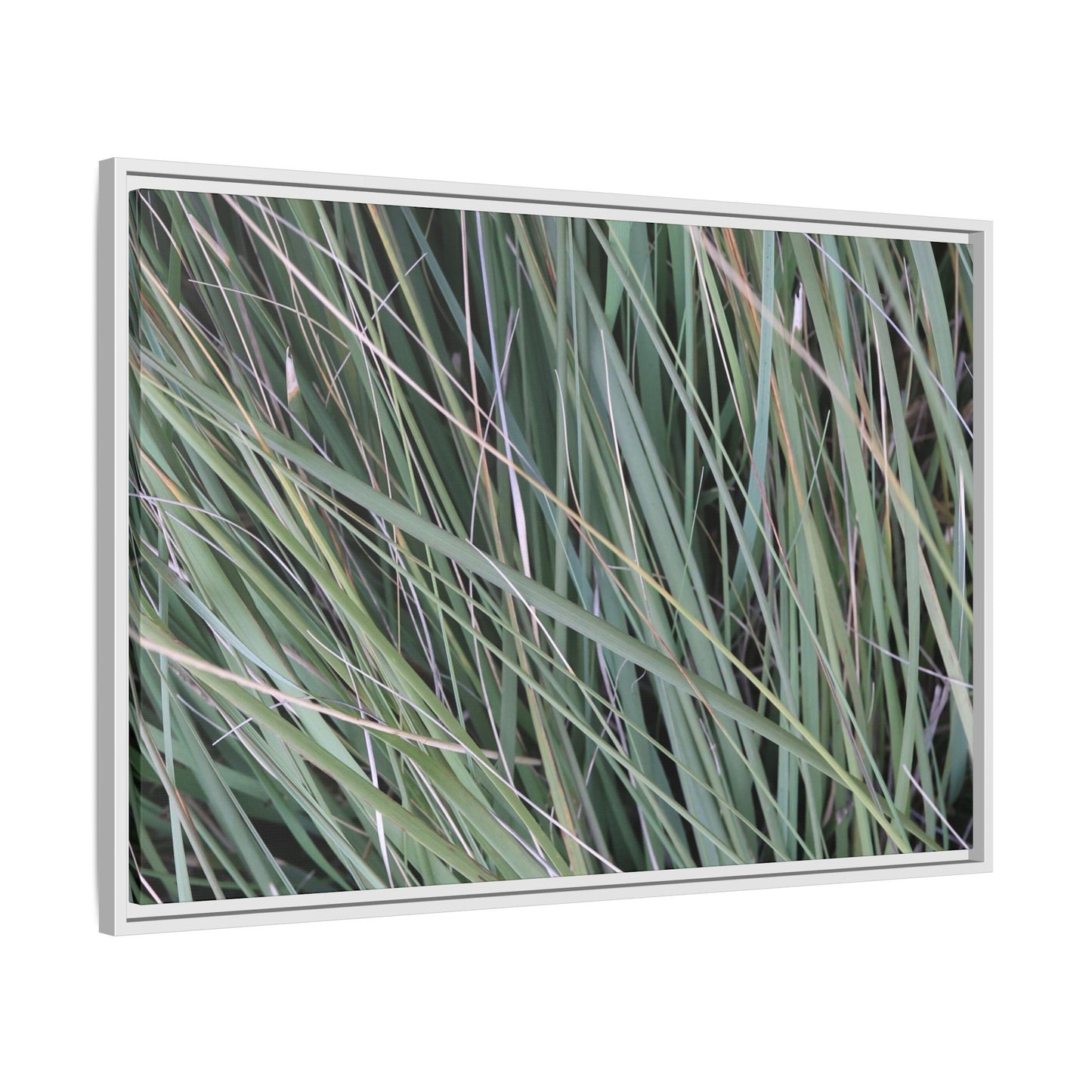Grassland Symphony - Unique Stretched Canvas Wall Art