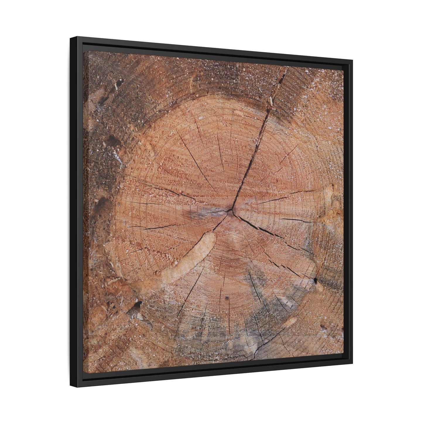 Concentric Memories - Unique Stretched Canvas Wall Art