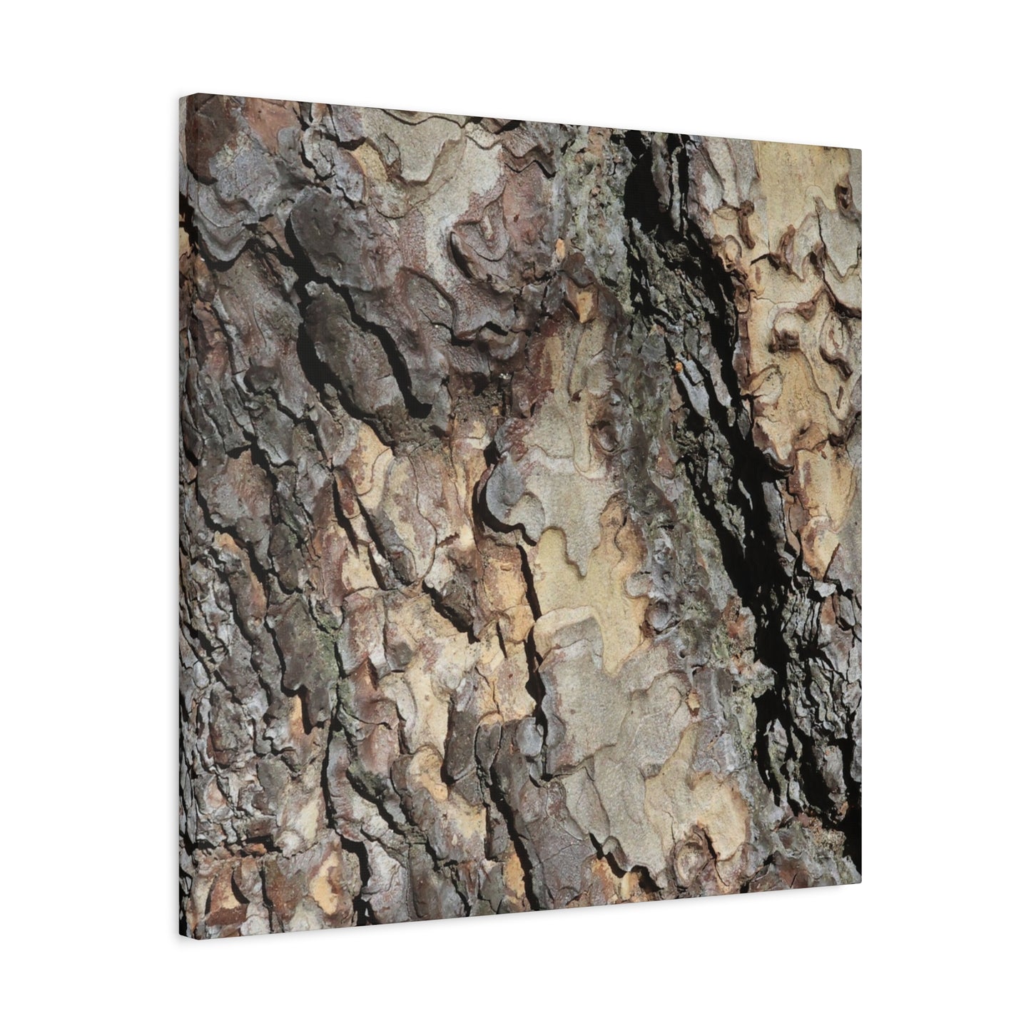 Tree Bark Symphony - Unique Frameless Canvas Wall Art