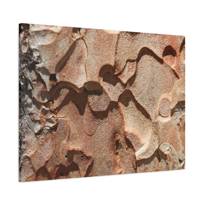 Terracotta Echoes - Unique Frameless Canvas Wall Art