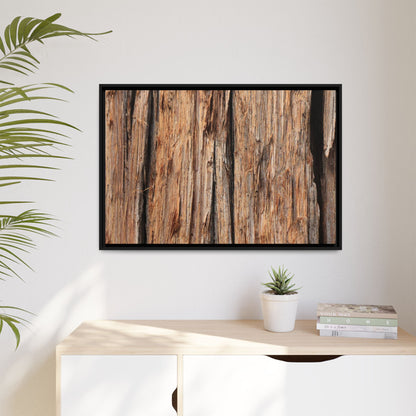 Timber Echoes - Unique Stretched Canvas Wall Art