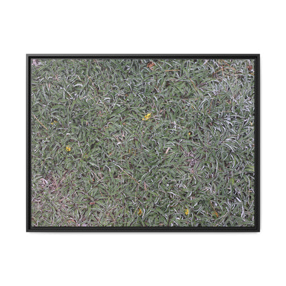 Grassy Texture - Unique Stretched Canvas Wall Art