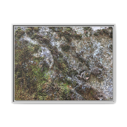 Mossy Whispers - Unique Stretched Canvas Wall Art