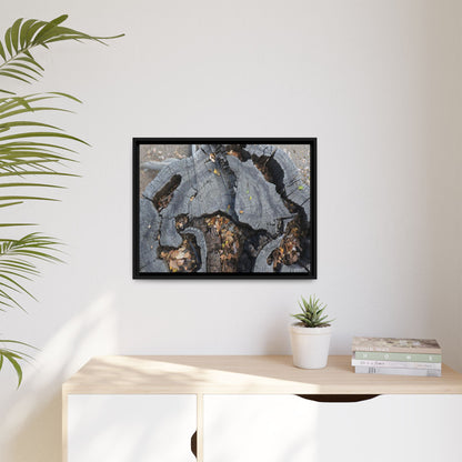 Time's Fractal Memory - Unique Stretched Canvas Wall Art