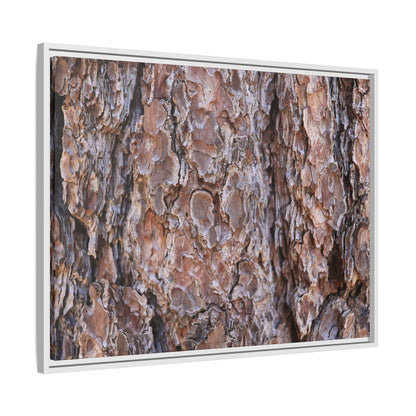 Woody Layers - Unique Stretched Canvas Wall Art