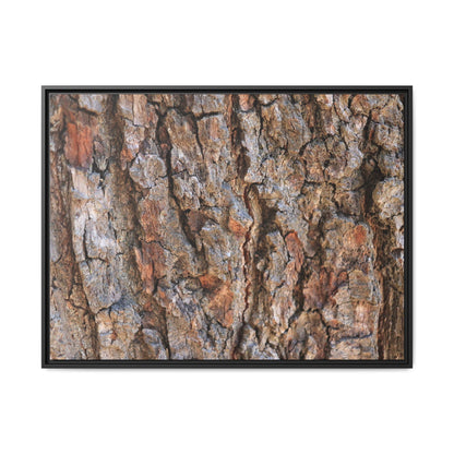 Tree's Timeworn Tale - Unique Stretched Canvas Wall Art