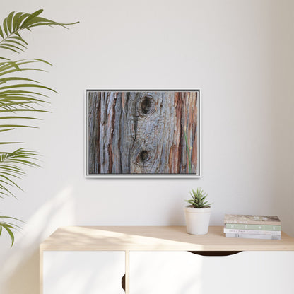 Knotty Nature - Unique Stretched Canvas Wall Art