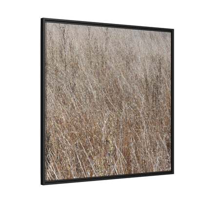 Whispers of Autumn - Unique Stretched Canvas Wall Art - Art By Earth