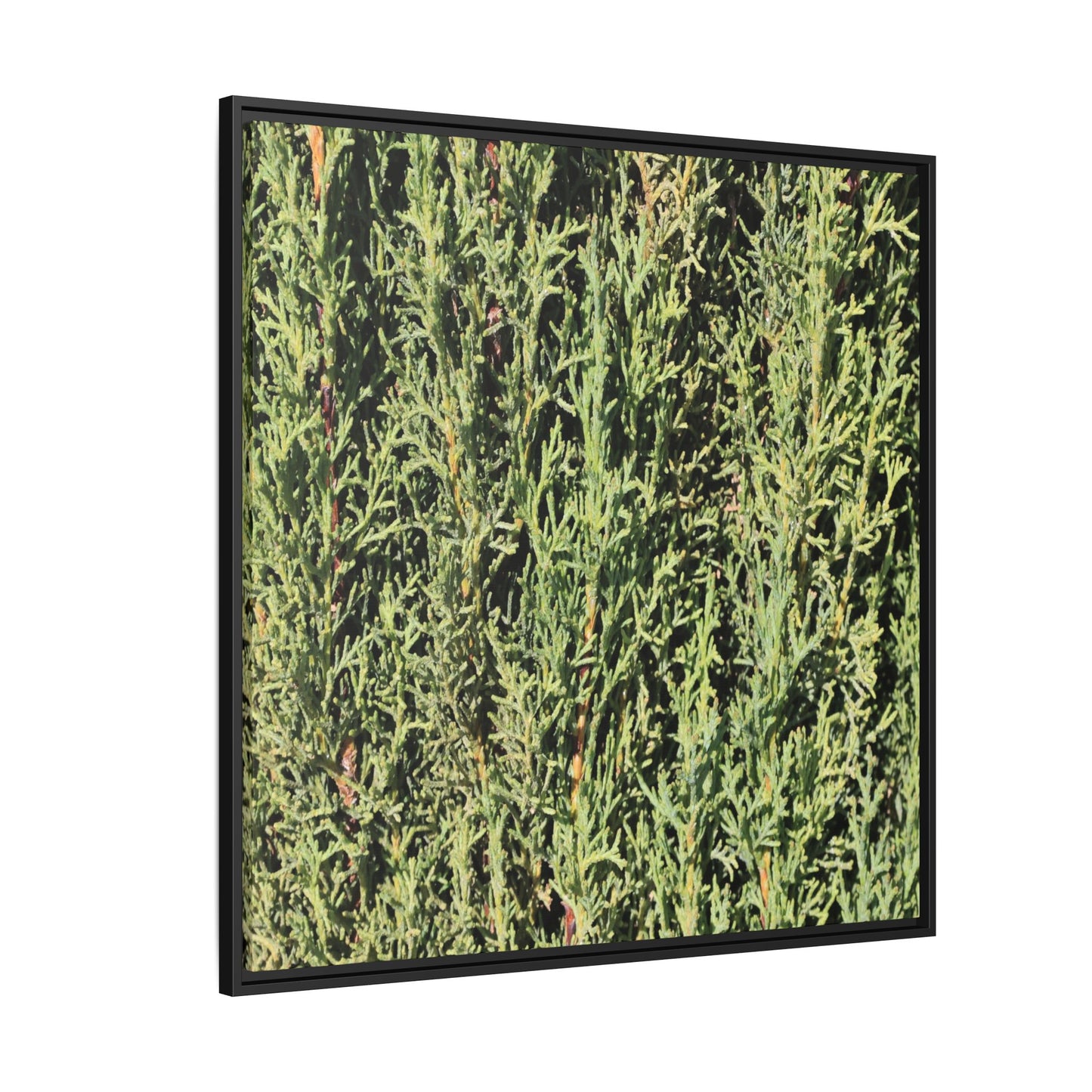 Emerald Labyrinth - Unique Stretched Canvas Wall Art - Art By Earth