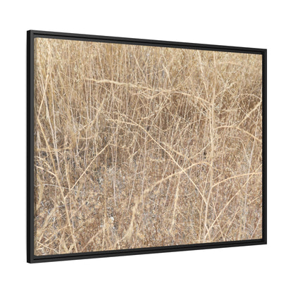 Golden Stalks - Unique Stretched Canvas Wall Art