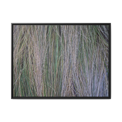Whispers of Silver Grass - Unique Stretched Canvas Wall Art