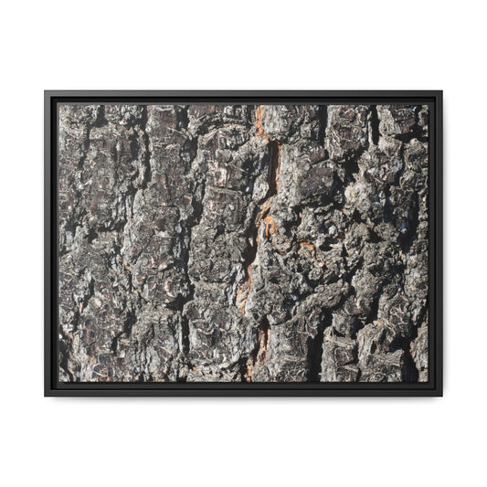 Aged Beauty - Unique Poster Wall Art