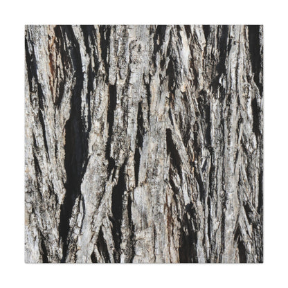 Bark Layers in Monochrome - Unique Frameless Canvas Wall Art