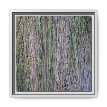 Whispers of Silver Grass - Unique Stretched Canvas Wall Art