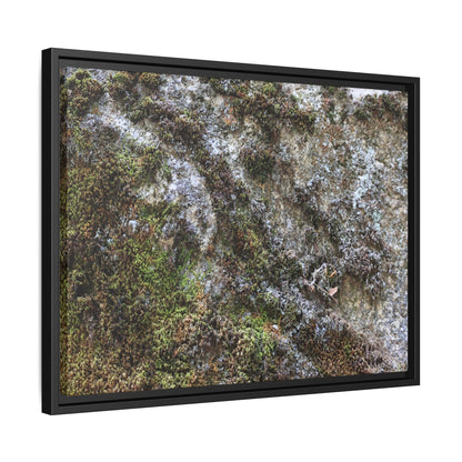 Mossy Whispers - Unique Stretched Canvas Wall Art