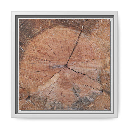 Concentric Memories - Unique Stretched Canvas Wall Art