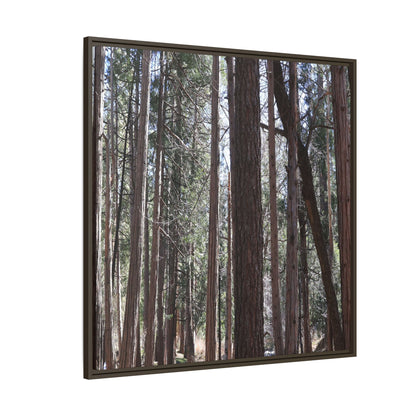 Forest Cathedral - Unique Stretched Canvas Wall Art