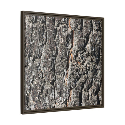 Aged Beauty - Unique Stretched Canvas Wall Art