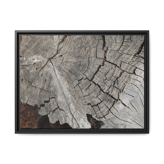 Time's Signature - Unique Stretched Canvas Wall Art