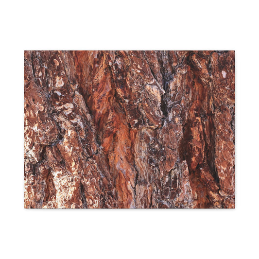 Rust and Ridges - Unique Frameless Canvas Wall Art